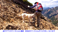 八ヶ岳・赤岳登頂の山旅2002：2日目(19)