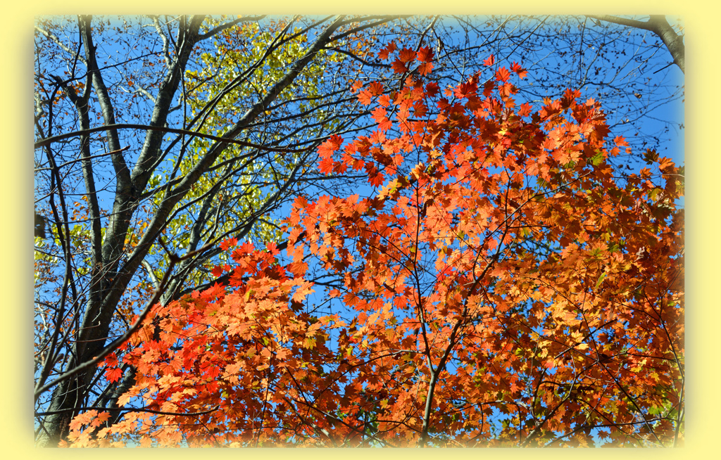 秋の大菩薩峠の山旅(3)