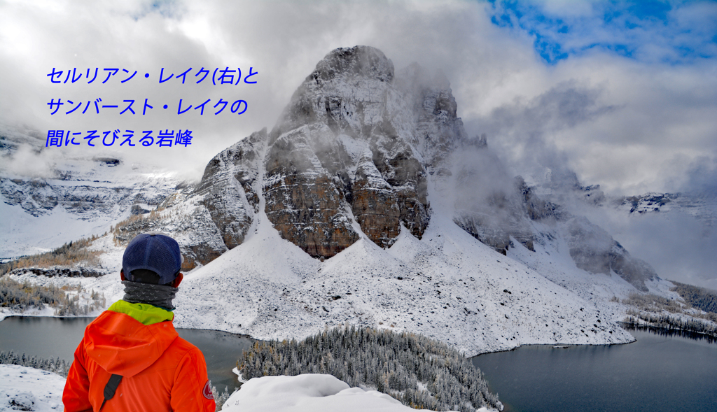 カナダの山旅 D アシニボイン山麓トレッキング(2)：2016(16)