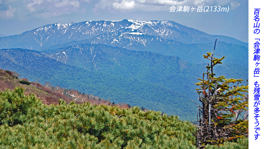 初夏の尾瀬の山旅2007(42)