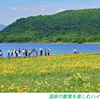 雄国沼のニッコウキスゲ2009(14)
