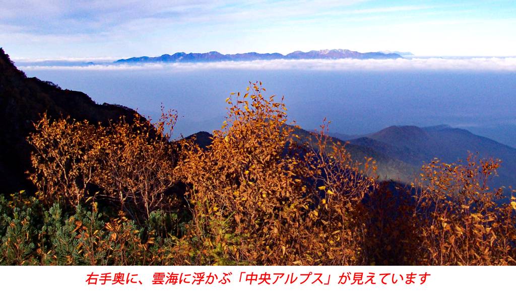 仙丈ケ岳登頂の山旅2001：2日目(14)