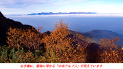 仙丈ケ岳登頂の山旅2001：2日目(14)