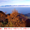 仙丈ケ岳登頂の山旅2001：2日目(14)