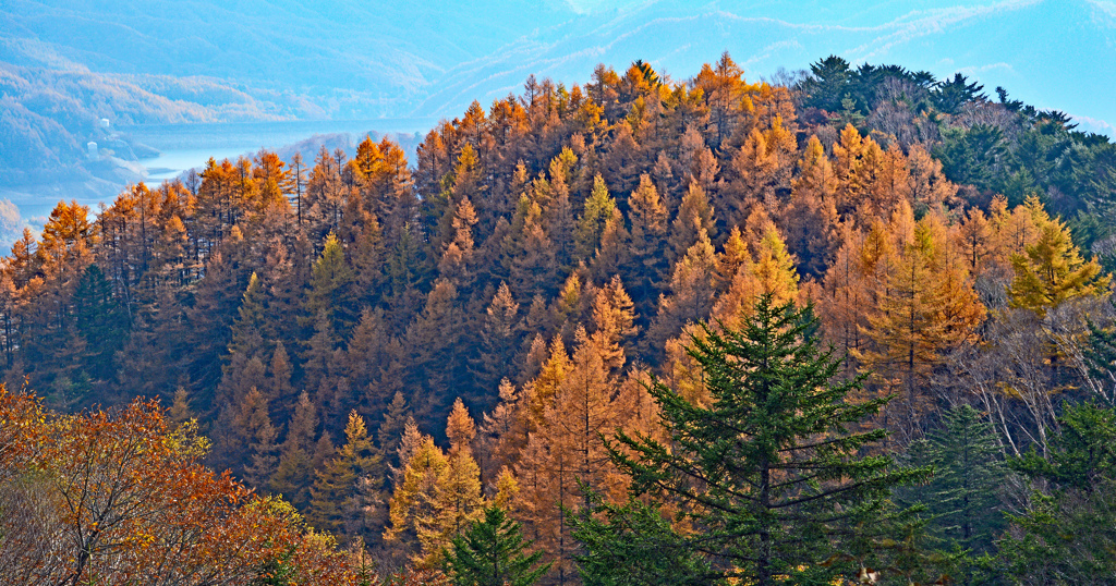 秋の大菩薩峠の山旅(9)
