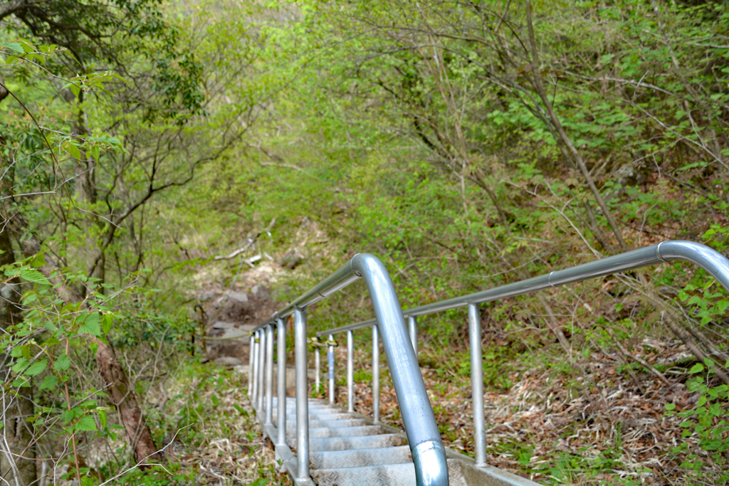 足柄古道を歩いての金時山登頂 2019 (31)