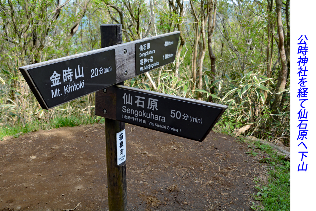 足柄古道を歩いての金時山登頂 2019 (42)