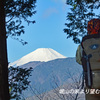 丹沢・塔ノ岳登頂セレクト写真集 2008～2018 (7)