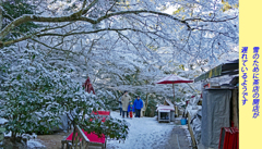 宮島・弥山(みせん)2015：しま山100選・広島県廿日市市(24)