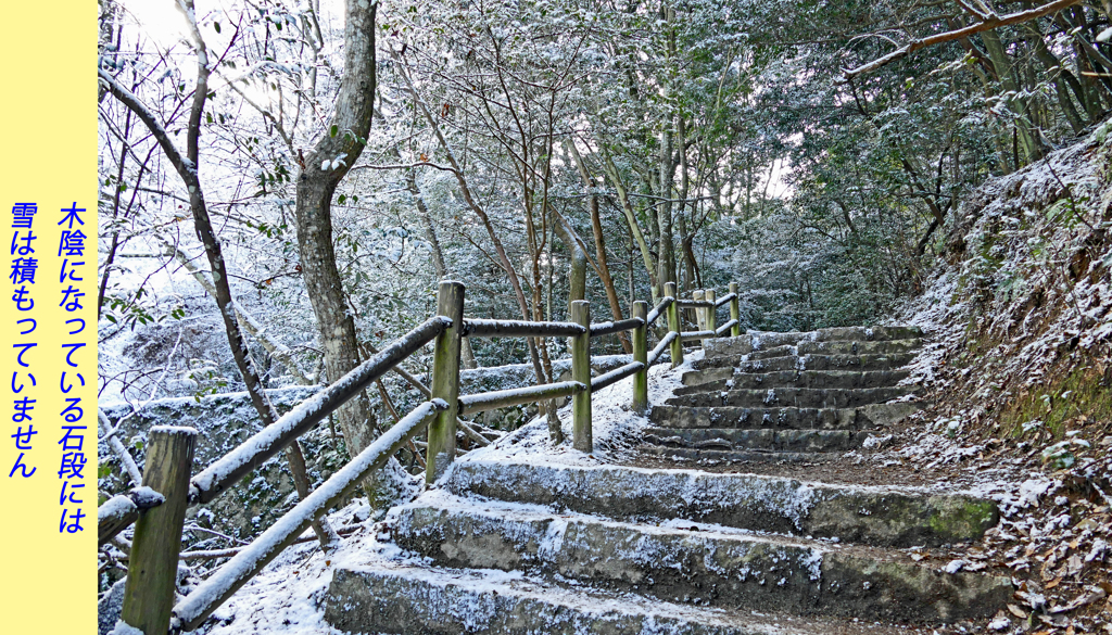 宮島・弥山(みせん)2015：しま山100選・広島県廿日市市(31)