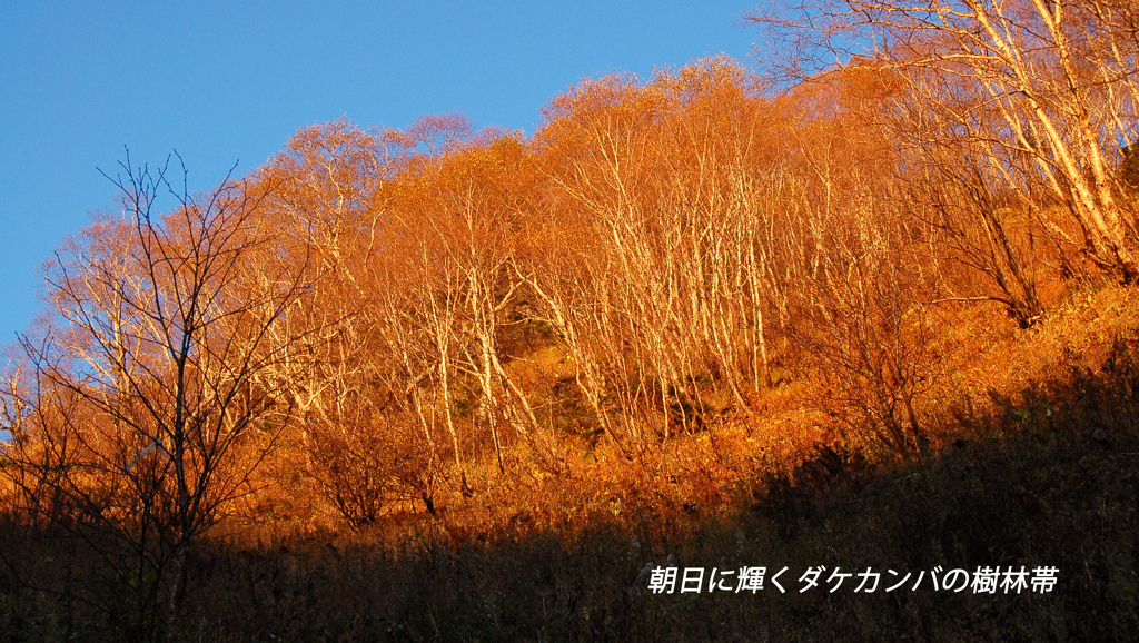 北岳登頂の山旅2006：2日目(6)