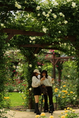 君は薔薇より美しい