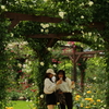君は薔薇より美しい