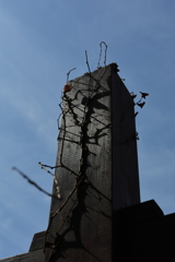 へこたれまへんよ