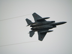 P1000560