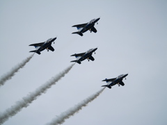 P1011746