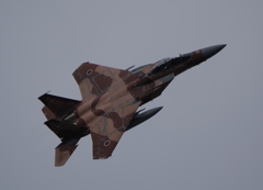 P1198252