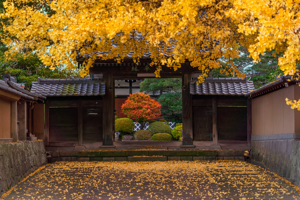 錦繍の山門
