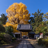 秋の霊山寺2