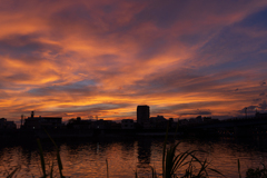 狩野川夕景