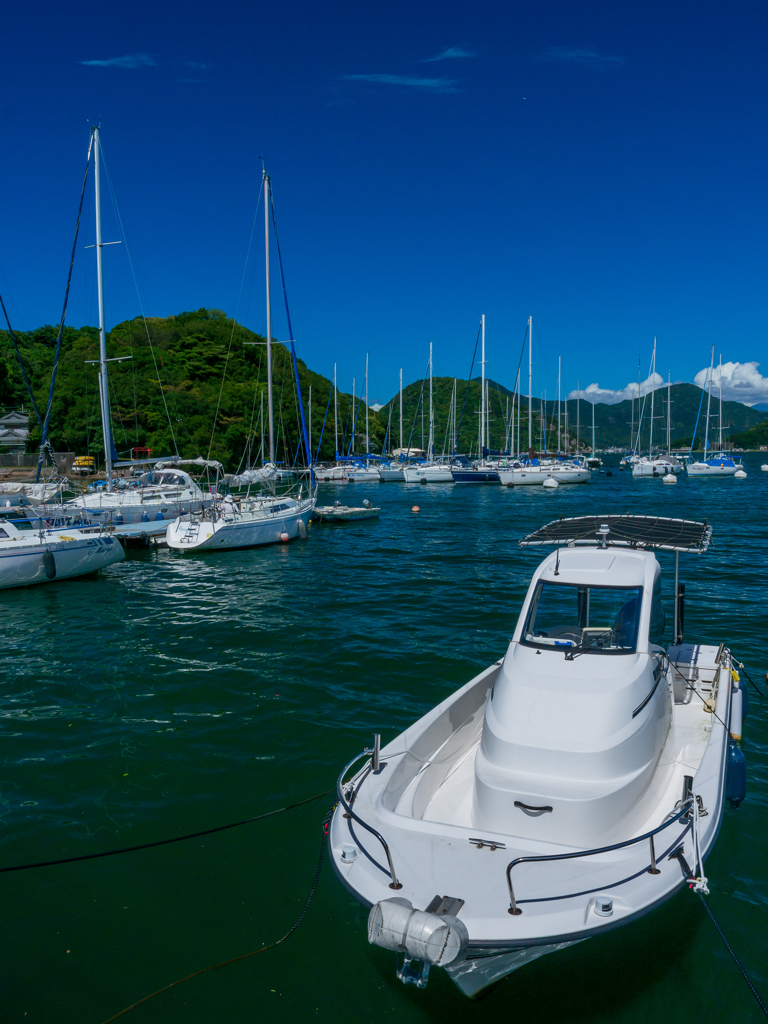 内浦のヨットハーバー
