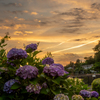 ６月の夕暮れ