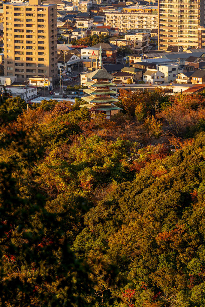 香貫山登山道にて