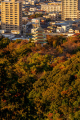 香貫山登山道にて