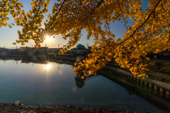 ホームグランドの写真で…