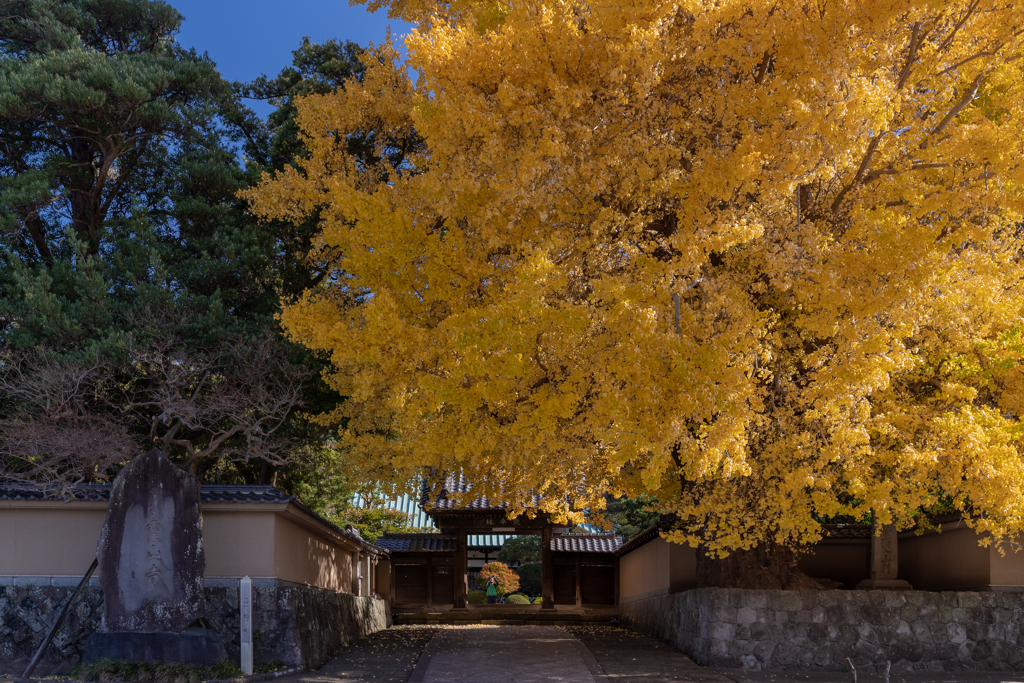 秋の霊山寺１