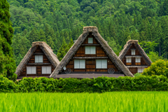 三連合掌
