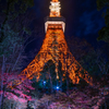 Tokyo tower　紅葉