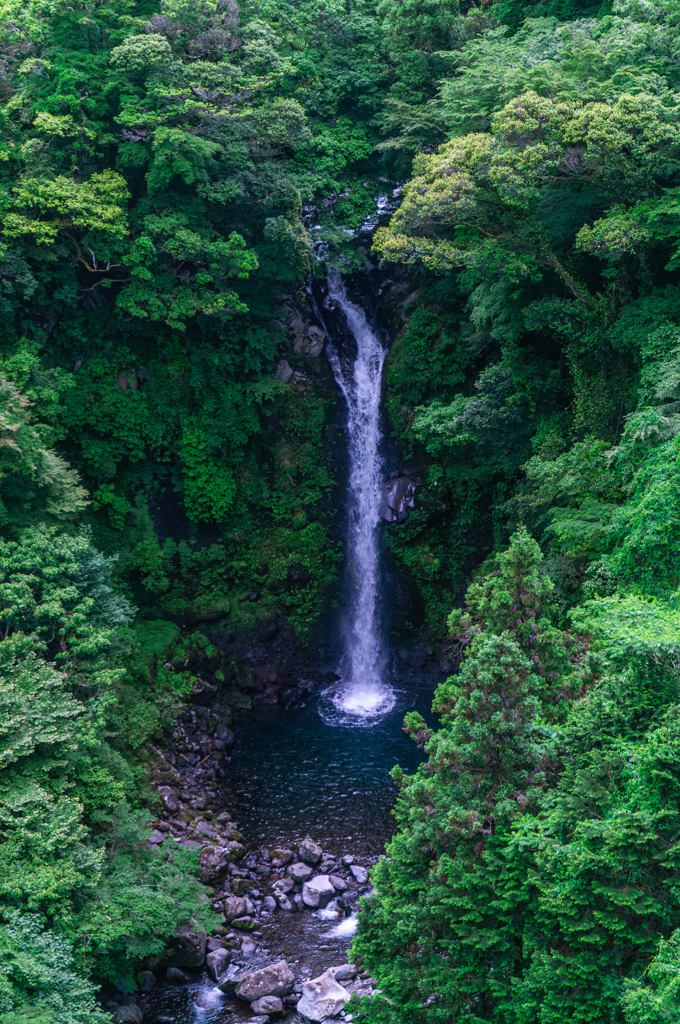 大棚の滝