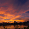 狩野川夕景2