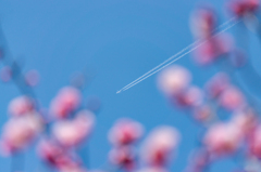 ヒコーキ雲
