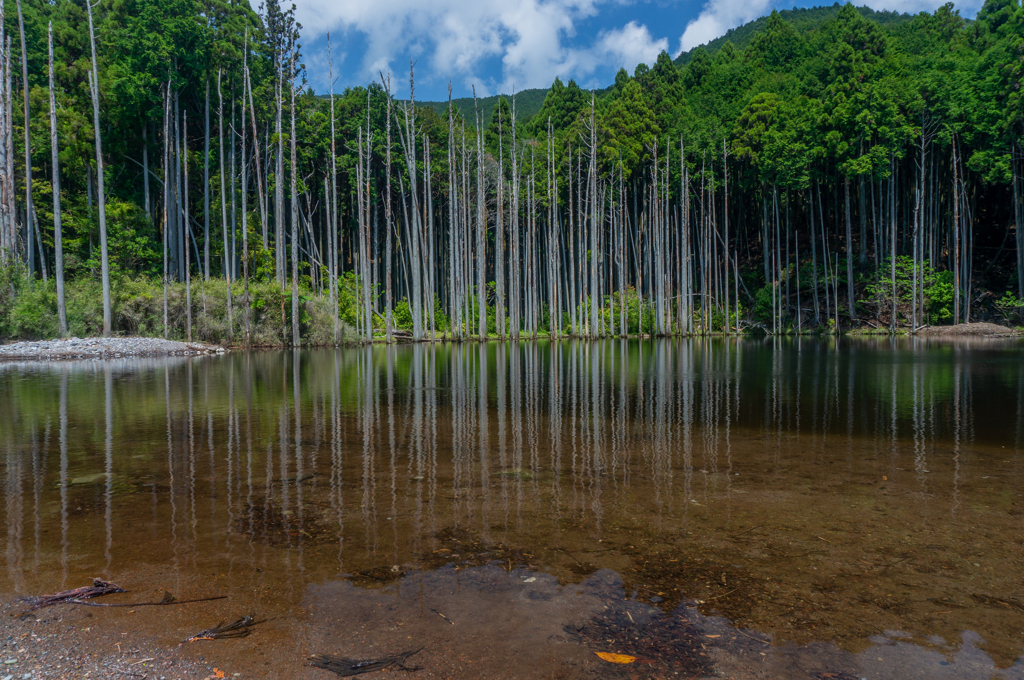 砂防ダム湖