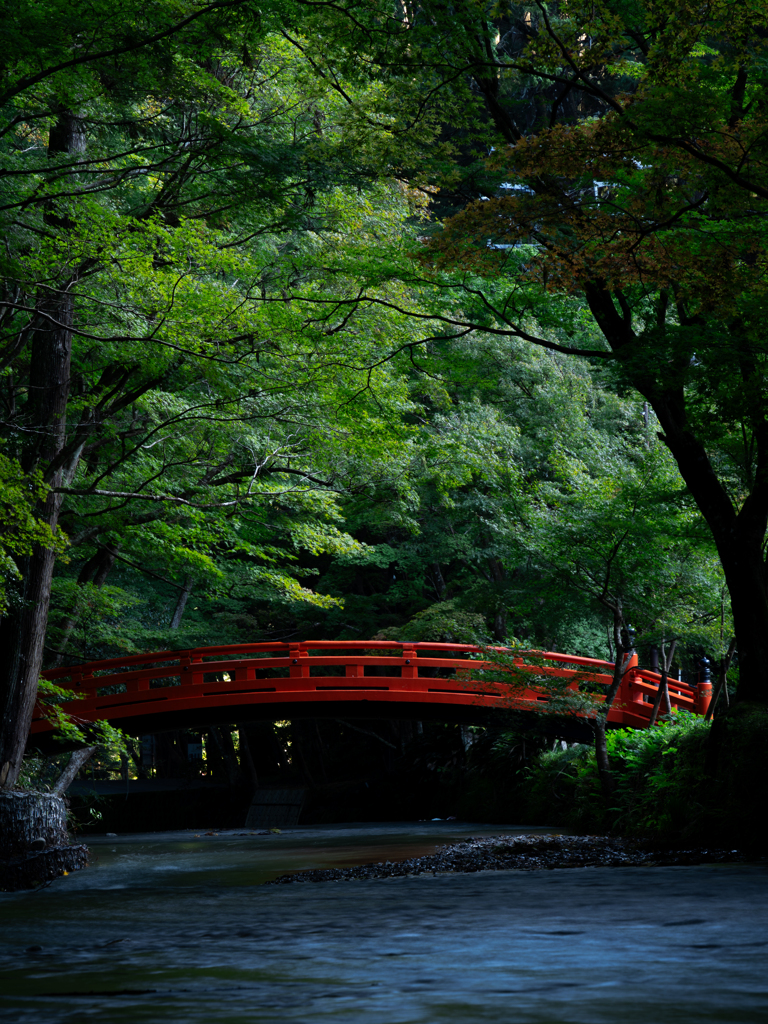 青紅葉と朱橋