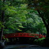 青紅葉と朱橋