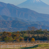 秋の八ヶ岳