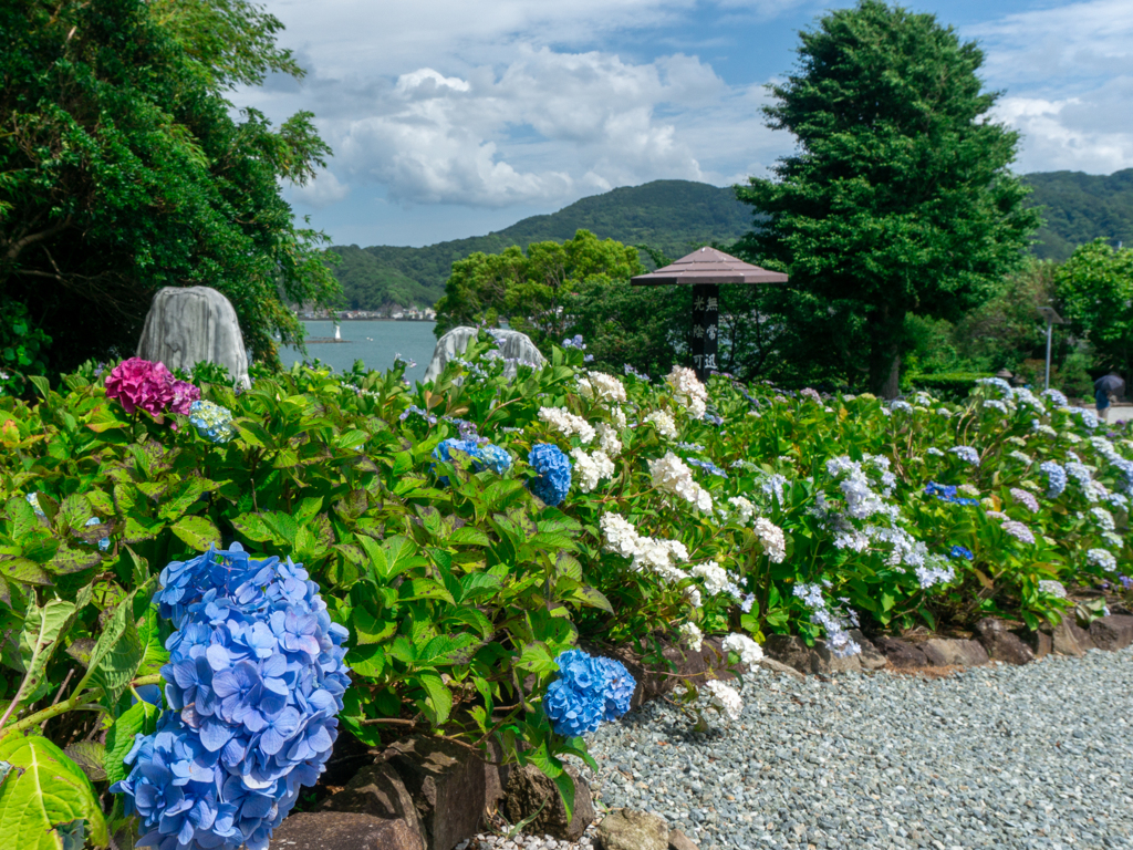 五月晴れ　照江寺より