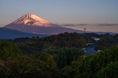 紅富士シーズン到来