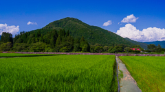 田園の夏