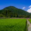 田園の夏