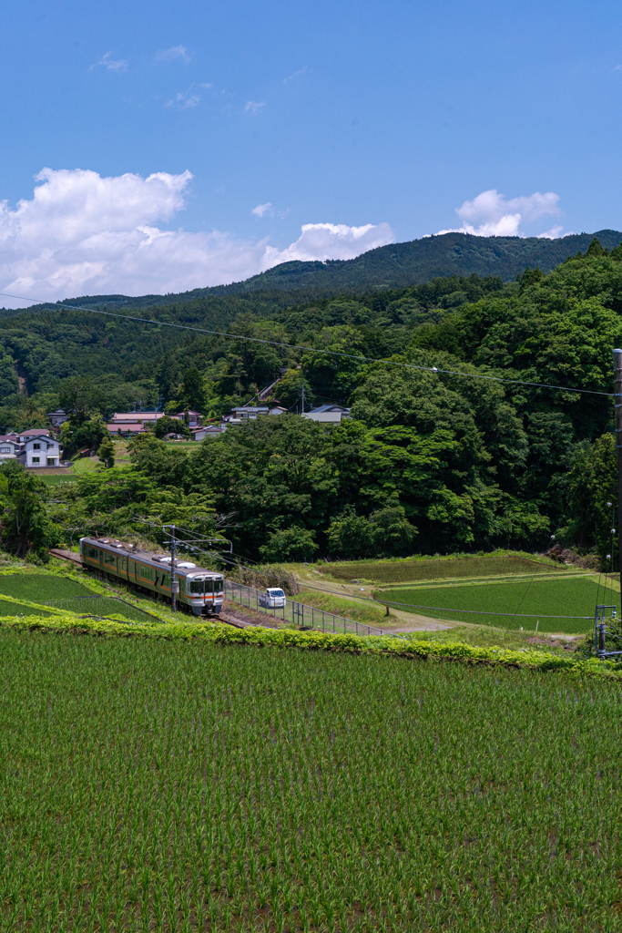 棚田を行く