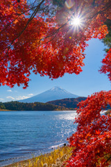 もみじトンネル