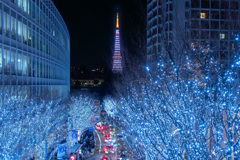 けやき坂イルミ ＆ TOKYO TOWER 65 th anniversary