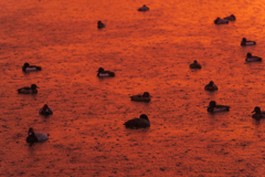 冬の夕立２