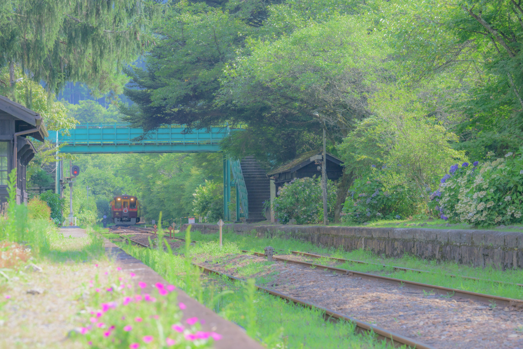 草生す駅