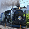 C61 20