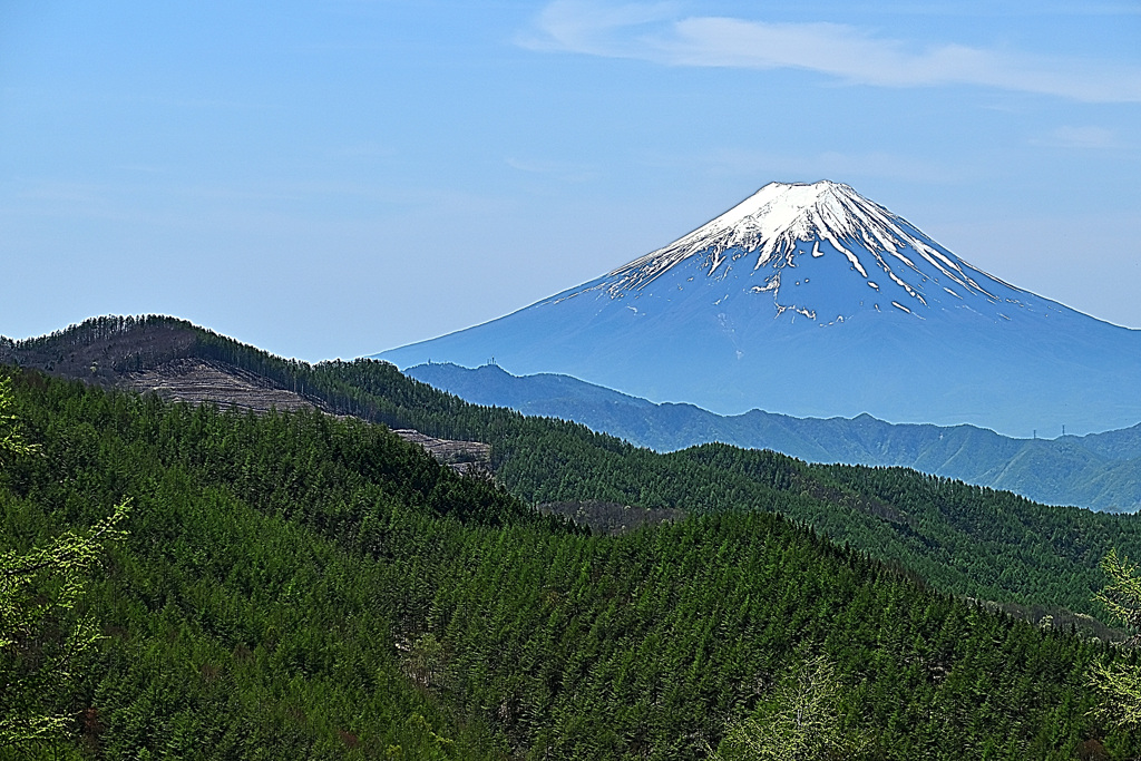 小金沢山からの富士山